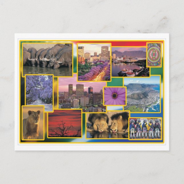 Sunny South Africa Postcard (Front)