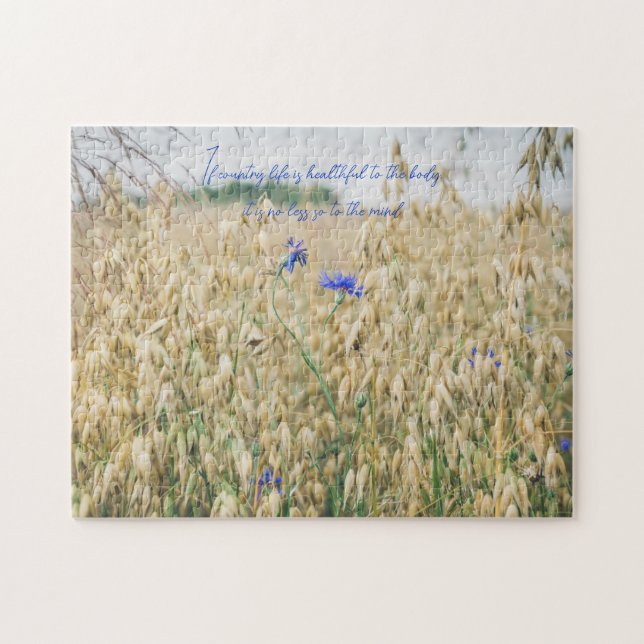 Sunny summer fields jigsaw puzzle (Horizontal)