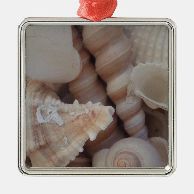 Sunny Summer Seashells, Sea Shell Beach Love Metal Ornament (Front)