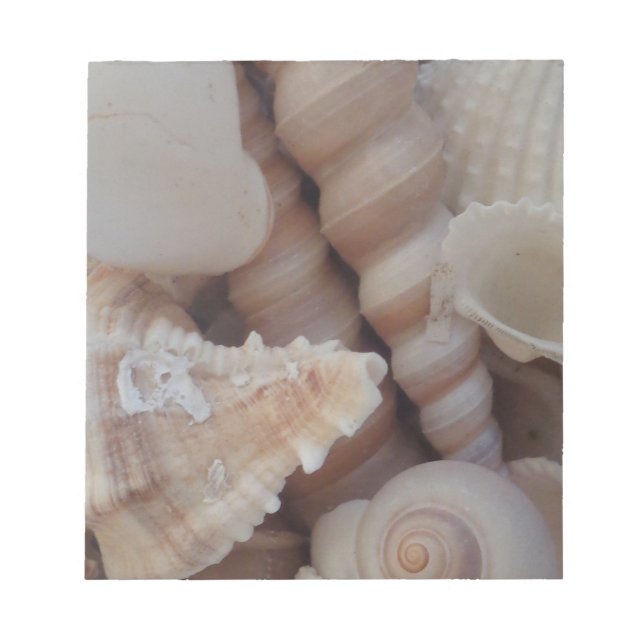 Sunny Summer Seashells, Sea Shell Beach Love Notepad (Front)
