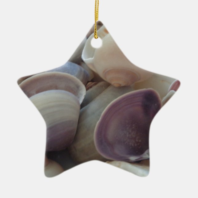 Sunny Summer Seashells, Sea Shell Beach Ocean Ceramic Ornament (Front)