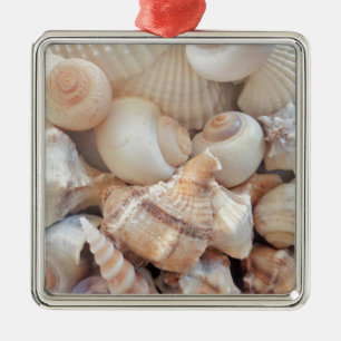 Sunny Summer Seashells, Sea Shells Beach Love Metal Ornament