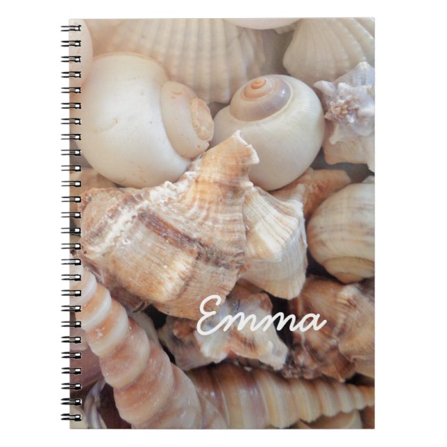 Sunny Summer Seashells, Sea Shells Beach Love Notebook (Front)