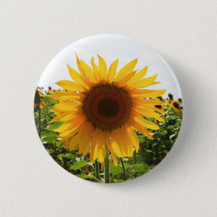 Sunny Sunflower 6 Cm Round Badge
