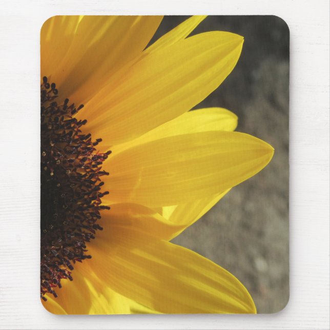 Sunny Sunflower Closeup Mouse Pad (Front)