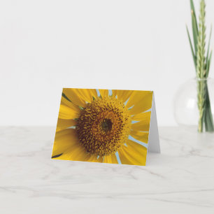 Sunny Sunflower - Giant Yellow Centre Close up Card