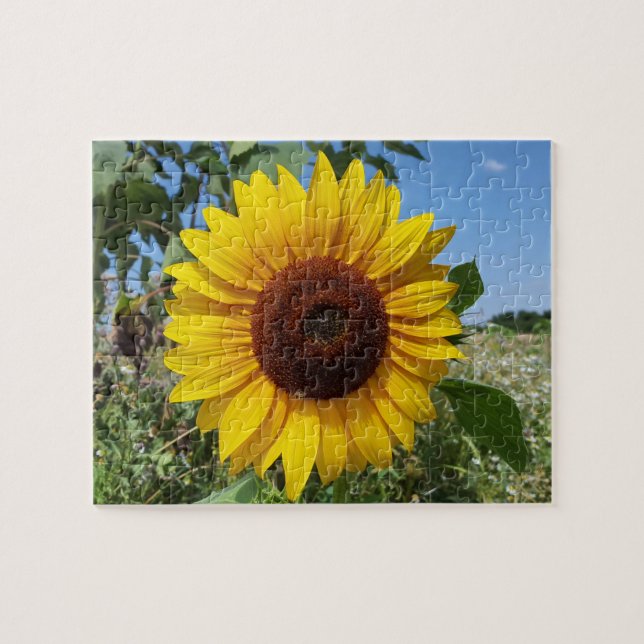 Sunny Sunflower Jigsaw Puzzle (Horizontal)