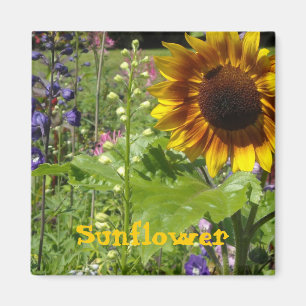 Sunny  Sunflower Magnet