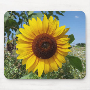 Sunny Sunflower Mouse Pad
