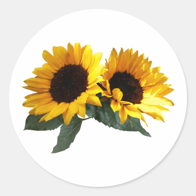 Sunny Sunflowers Classic Round Sticker (Front)