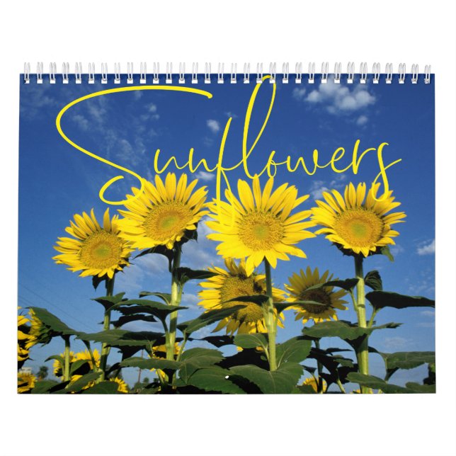 Sunny Sunflowers Floral Calendar (Cover)