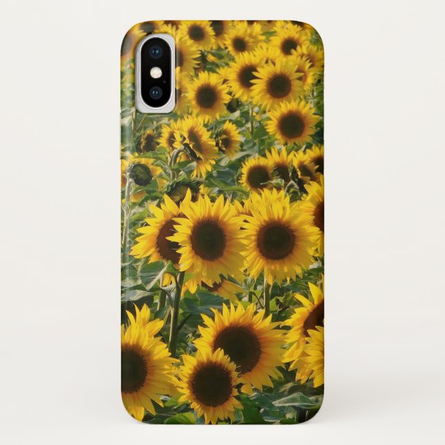 Sunny Sunflowers iPhone Case (Back)