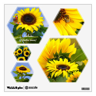 Sunny Sunflowers ~ Wall Decal (Hexagon)