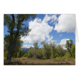 Sunny View of Grand Teton Mountain