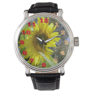 Sunny watch