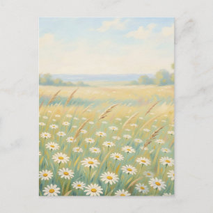 Sunny White Daisy Meadow Wildflower Field Postcard