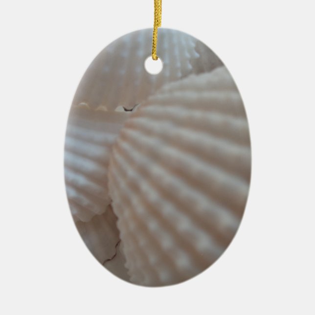 Sunny White Seashells, Sea Shell Beach Summer Love Ceramic Ornament (Front)