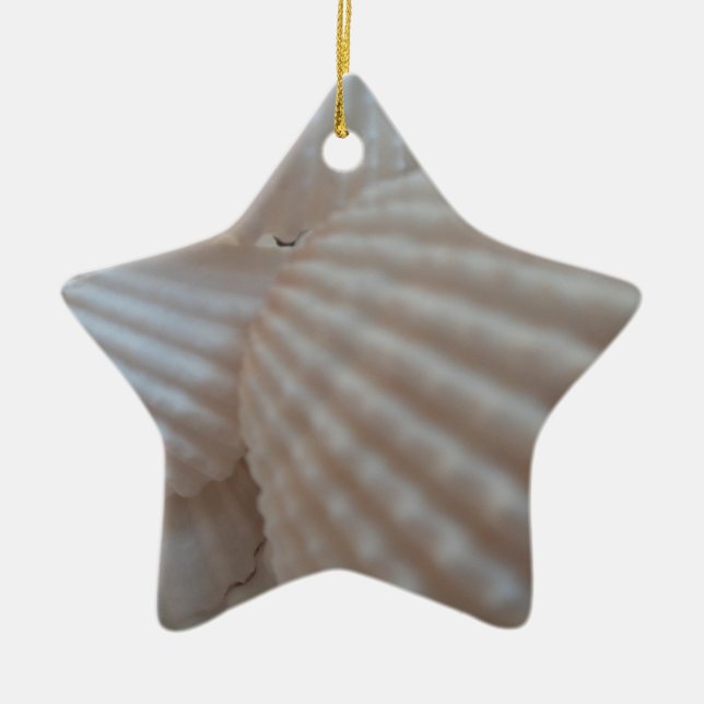 Sunny White Seashells, Sea Shell Beach Summer Love Ceramic Ornament (Front)