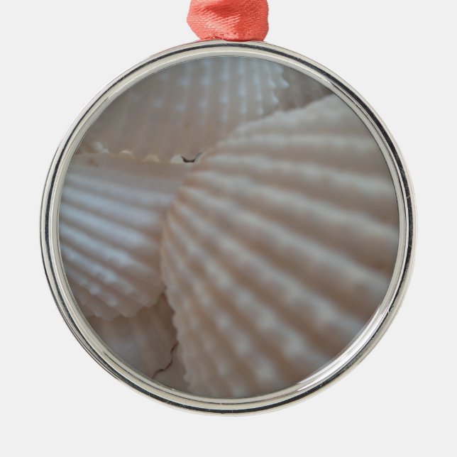 Sunny White Seashells, Sea Shell Beach Summer Love Metal Ornament (Front)