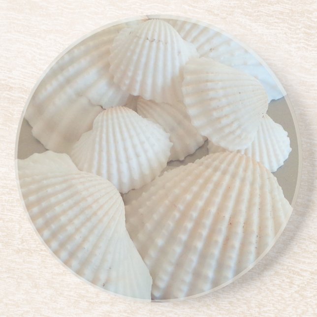 Sunny White Seashells, Summer Beach Exotic Coaster (Front)