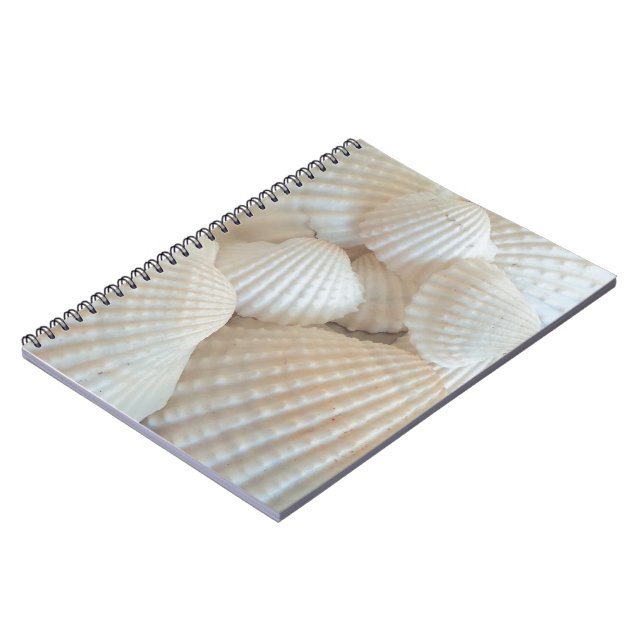 Sunny White Seashells, Summer Beach Exotic Notebook (Left Side)