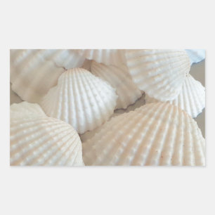Sunny White Seashells, Summer Beach Exotic Rectangular Sticker