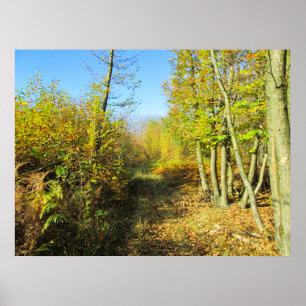 Sunny Woods in Autumn - Personalised Poster
