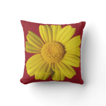 Sunny yellow chamomile