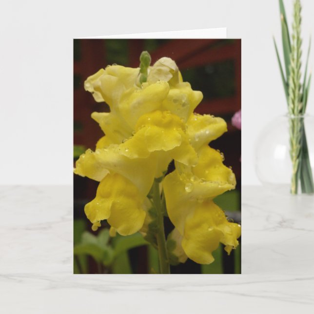 Sunny yellow snapdragon notecard (Front)