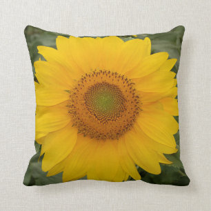 Sunny Yellow Sunflower Cushion