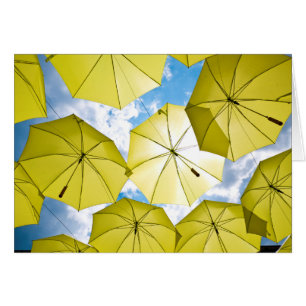 Sunny Yellow Umbrellas