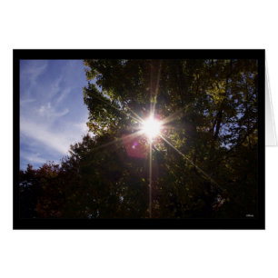 Sunrays (bordered black)