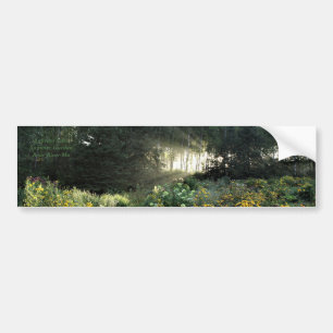 Sunrays in Late September Gardens Bumper Sticker