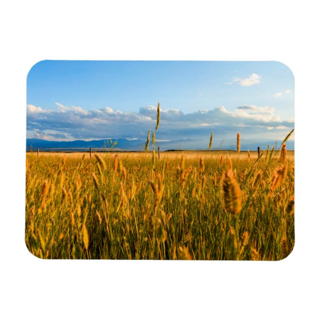 Sunrays over field of wheat with mountains magnet (Horizontal)