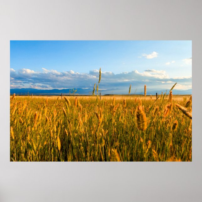 Sunrays over field of wheat with mountains poster (Front)