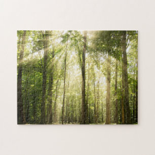Sunrays Through Treetops Jigsaw Puzzle