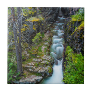 Sunrift Gorge In Glacier National Park, Montana 2 Tile