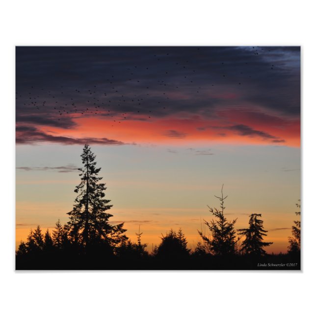 Sunrise and Trees Photo Print (Front)