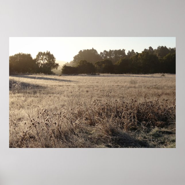 Sunrise at Bear Valley Trailhead Landscape Poster (Front)