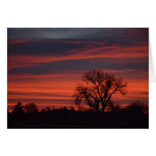 Sunrise at Harper Lake (Front Horizontal)