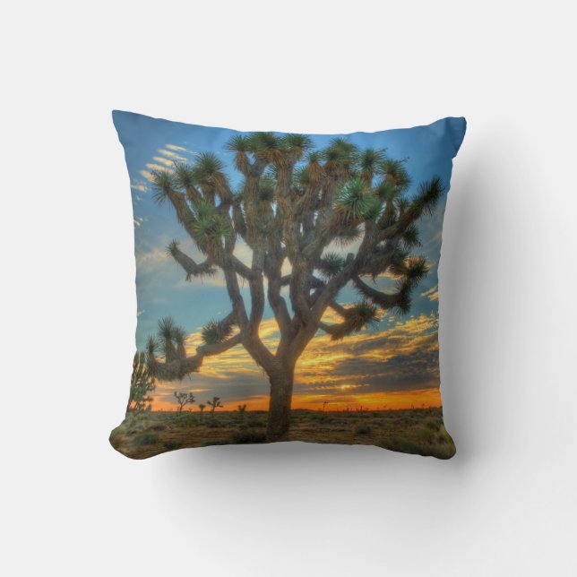 Sunrise At Joshua Tree National Park Cushion (Front)