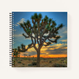 Sunrise At Joshua Tree National Park Notebook