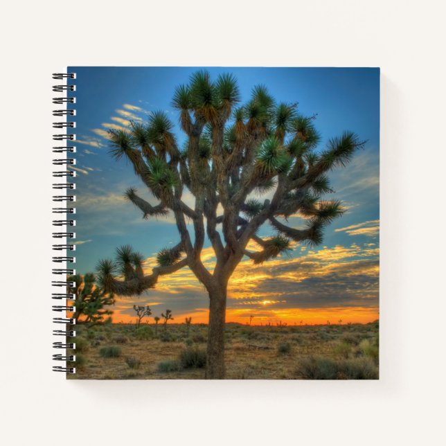 Sunrise At Joshua Tree National Park Notebook (Front)