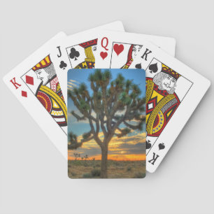 Sunrise At Joshua Tree National Park Playing Cards