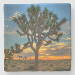 Sunrise At Joshua Tree National Park Stone Coaster