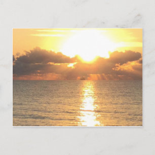 sunrise at Palm Cove postcard