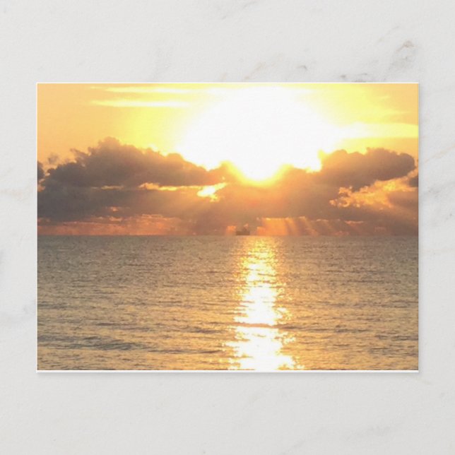 sunrise at Palm Cove postcard (Front)