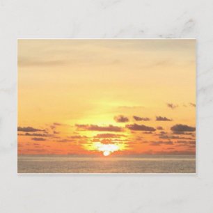 sunrise at Palm Cove postcard
