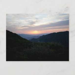 Sunrise at Penny Pines Postcard
