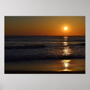 Sunrise at the Beach by Shirley Taylor Poster